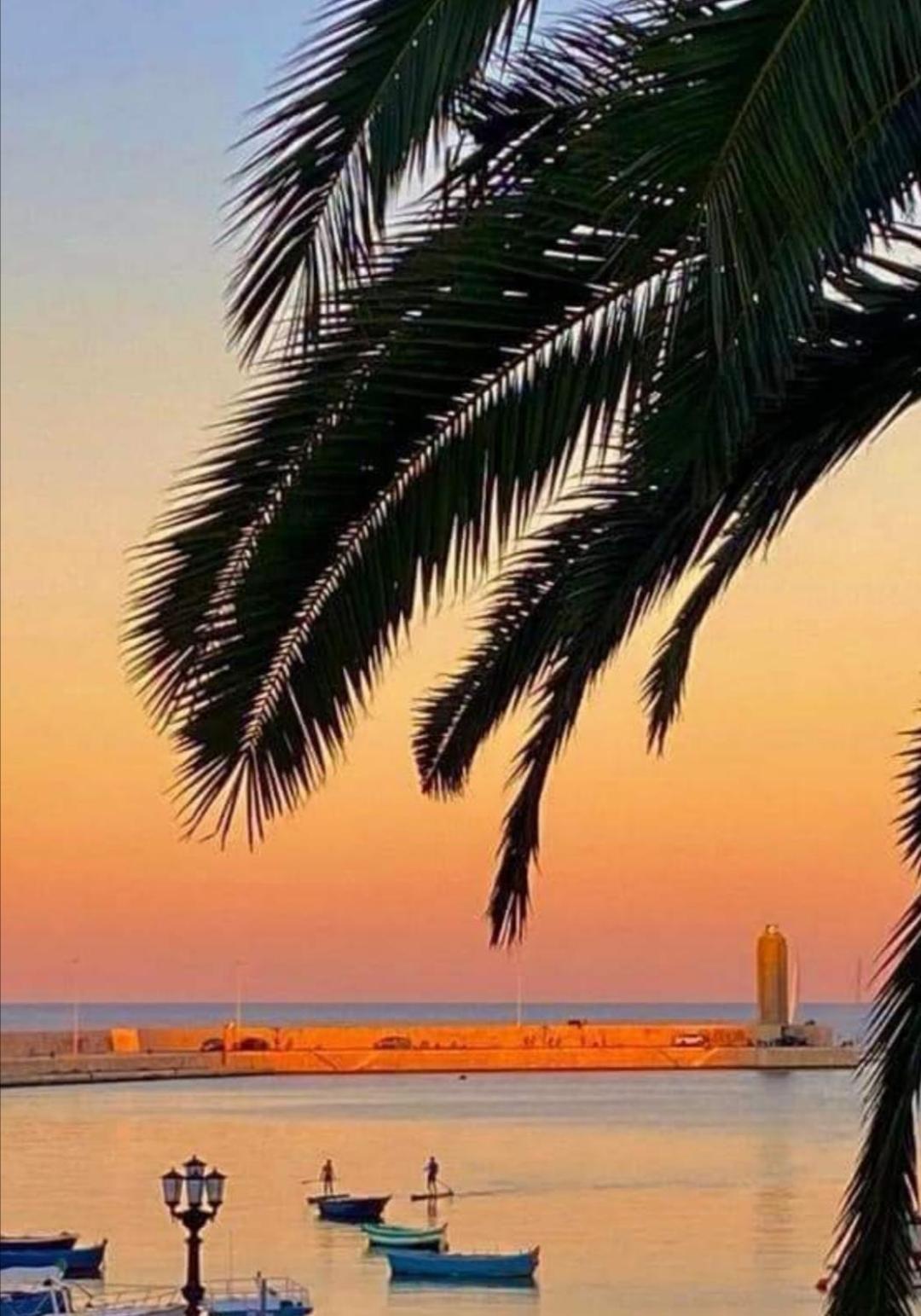 Summer Paradise Bari Phòng bức ảnh